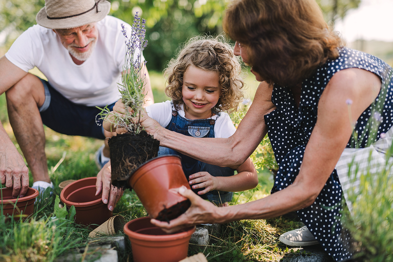 grandparents gardening