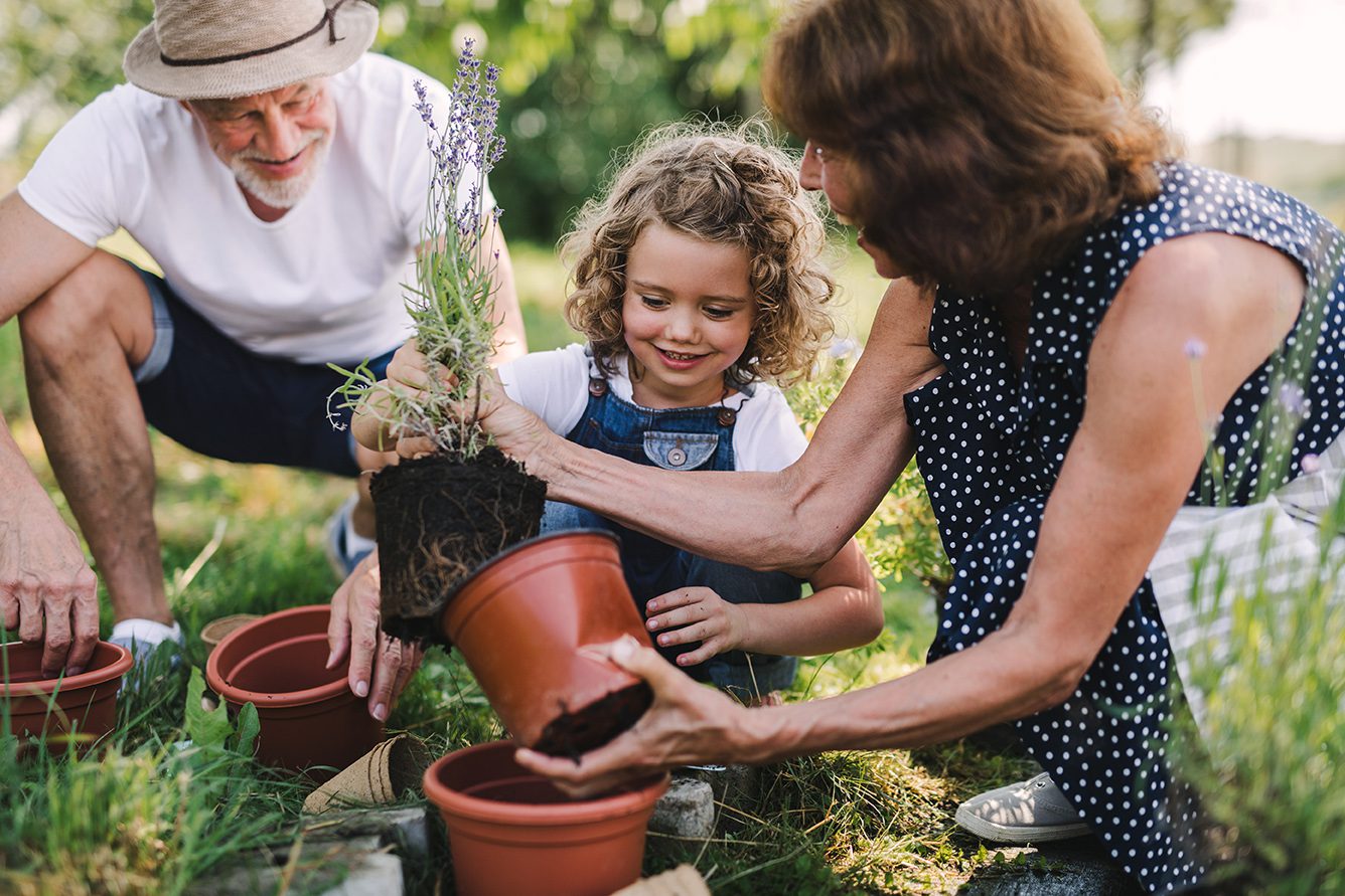 Family gardening together outdoors