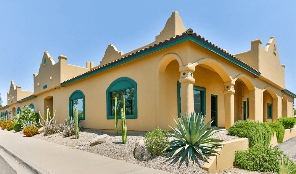Adobe-style architecture with cacti